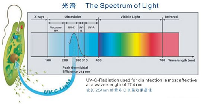 科普！紫外線殺菌燈對(duì)人體影響及正確使用方法